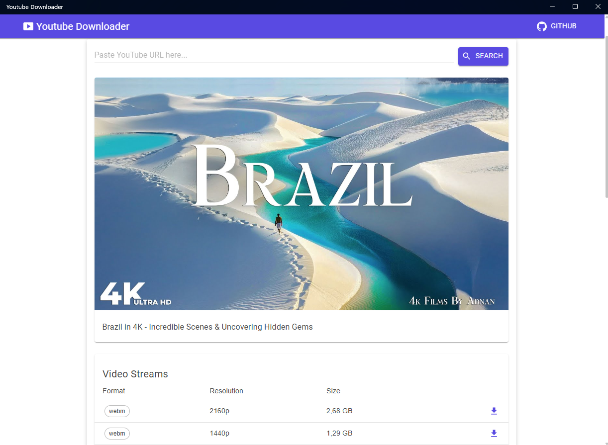 Youtube Downloader Preview
